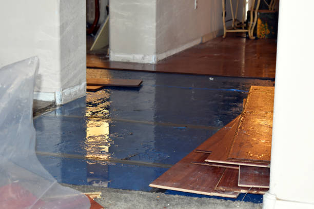 Professional Emergency Water Damage Restoration technician working in Potosi, TX